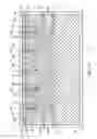 Fig. 13 - Soccer training apparatus and method