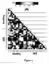 Fig. 02 - COMPOSITIONS AND METHODS FOR TREATING AND DIAGNOSING IRRITABLE BOWEL SYNDROME