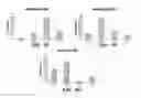 Fig. 04 - DIAGNOSTIC AND PROGNOSTIC METHODS FOR RENAL CELL CARCINOMA