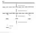 Fig. 02 - ENRICHMENT AND SEQUENCE ANALYSIS OF GENOMIC REGIONS