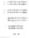 Fig. 08 - Methods for generating polynucleotides having desired characteristics by iterative selection and recombination