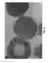 Fig. 09 - Porous particulate materials and compositions thereof