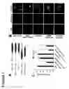 Fig. 08 - ATAP peptides, nucleic acids encoding the same and associated methods of use