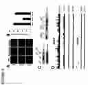 Fig. 09 - ATAP peptides, nucleic acids encoding the same and associated methods of use