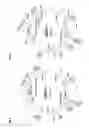 Fig. 06 - RECOMBINANT TRANSFERRIN MUTANTS