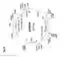 Fig. 07 - RECOMBINANT TRANSFERRIN MUTANTS