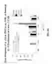 Fig. 03 - Formulation to improve gastrointestinal function