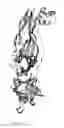 Fig. 02 - Modified Cry35 proteins