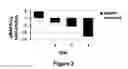 Fig. 03 - Composition for animal consumption and method for reducing MAP kinase activity