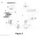 Fig. 03 - Peptides with the capacity to bind to transforming growth factor β1 (TGF-β1)
