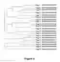 Fig. 04 - Peptides with the capacity to bind to transforming growth factor β1 (TGF-β1)