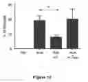 Fig. 12 - Peptides with the capacity to bind to transforming growth factor β1 (TGF-β1)