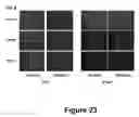 Fig. 19 - Peptides with the capacity to bind to transforming growth factor β1 (TGF-β1)