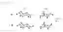 Fig. 09 - METHOD OF CONTROLLING THE PROLIFERATION OF VASCULAR ENDOTHELIAL CELLS AND INHIBITING LUMEN FORMATION