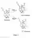 Fig. 02 - Stabilized Formulation of Ivermectin Feed Premix with an Extended Shelf Life and Method of Making the Same