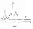 Fig. 09 - CELL WALL DERIVATIVES, THEIR PREPARATION PROCESS, AND USE THEREOF
