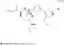 Fig. 02 - Methods of Treating Neuropathic Pain by Modulation of Glycogenolysis or Glycolysis