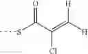 Fig. 47 - Modified chalcone compounds as antimitotic agents