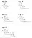 Fig. 02 - Iminosugars and methods of treating viral diseases
