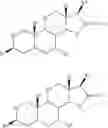 Fig. 104 - 15-OXA-steroid compounds