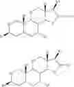 Fig. 114 - 15-OXA-steroid compounds