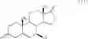 Fig. 14 - 15-OXA-steroid compounds