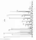 Fig. 49 - Fatty Acid Nutritional Supplement
