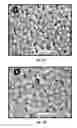 Fig. 09 - SCALABLE PROCESS FOR SYNTHESIZING UNIFORMLY-SIZED COMPOSITE NANOPARTICLES