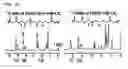 Fig. 06 - Copolymer comprising 4-hydroxybutyrate unit and lactate unit and its manufacturing method