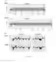 Fig. 05 - Spider silk dragline polynucleotides, polypeptides and methods of use thereof