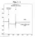Fig. 02 - Nucleic acid molecule capable of binding to rabbit-derived IgG antibody