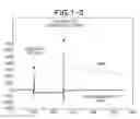 Fig. 04 - Nucleic acid molecule capable of binding to rabbit-derived IgG antibody