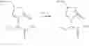 Fig. 65 - 2-oxo-1-pyrrolidine derivatives, processes for preparing them and their uses
