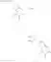 Fig. 71 - 2-oxo-1-pyrrolidine derivatives, processes for preparing them and their uses