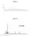 Fig. 07 - Diazaphosphacycle transition metal complexes