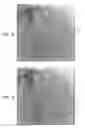 Fig. 04 - Forming and displaying a composite image