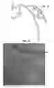 Fig. 06 - Forming and displaying a composite image