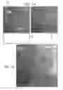Fig. 09 - Forming and displaying a composite image