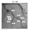Fig. 28 - Forming and displaying a composite image