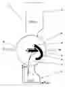Fig. 01 - EXOPROSTHESIS OR ORTHESIS FOR STABILIZING THE HUMAN KNEE JOINT