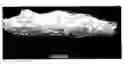 Fig. 01 - Water-absorbent resin, hydropolymer, process for producing them, and uses of them