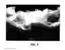Fig. 04 - Water-absorbent resin, hydropolymer, process for producing them, and uses of them