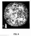 Fig. 09 - Water-absorbent resin, hydropolymer, process for producing them, and uses of them