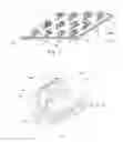 Fig. 02 - Absorbent article with lotion-containing topsheet