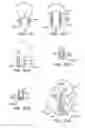 Fig. 10 - SYSTEMS AND METHODS OF DE-ENDOTHELIALIZATION