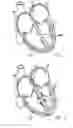 Fig. 02 - METHODS AND DEVICES FOR DELIVERING INJECTIONS