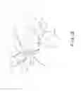 Fig. 04 - SPINAL PLUG FOR A MINIMALLY INVASIVE JOINT FUSION SYSTEM