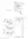 Fig. 16 - Prosthetic hip implants