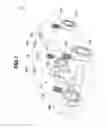 Fig. 02 - Vehicle driving operation support apparatus/process and restraint control