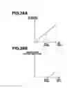 Fig. 25 - Vehicle driving operation support apparatus/process and inducement control